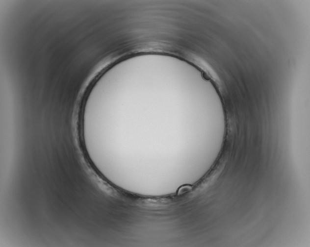 X0000113911138200910221328