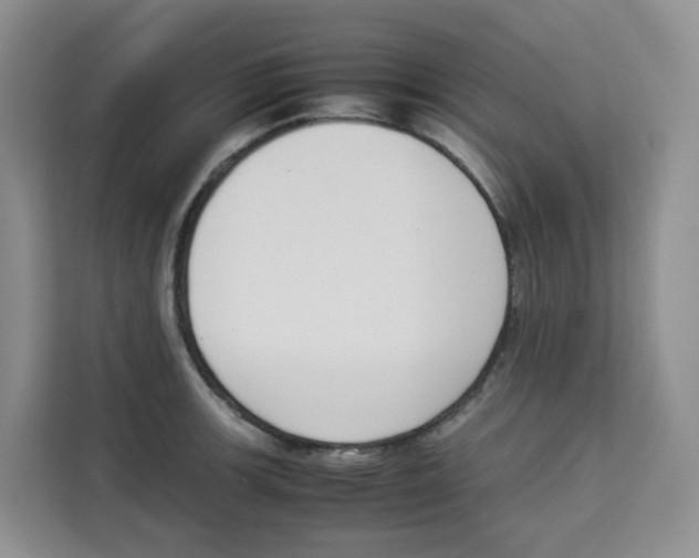 X0000113911139200910221328