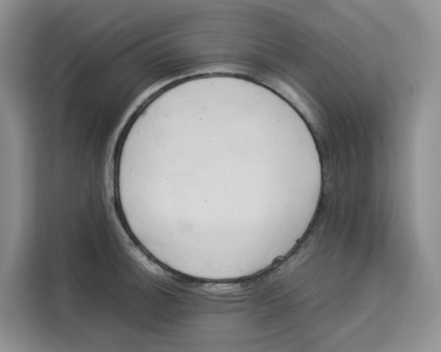 X0000113911140200910221328