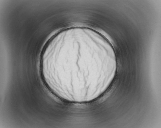 X0000113911142200910221328