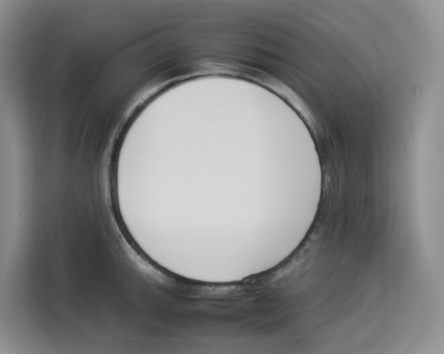 X0000113911143200910221328