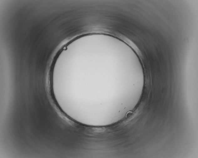 X0000113911144200910221328