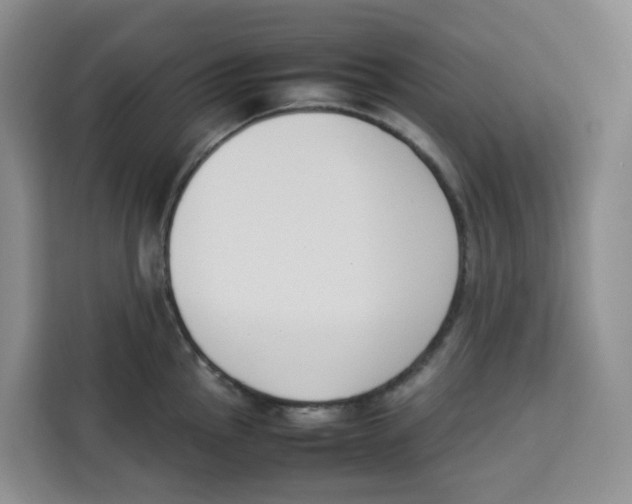 X0000113911145200910221328