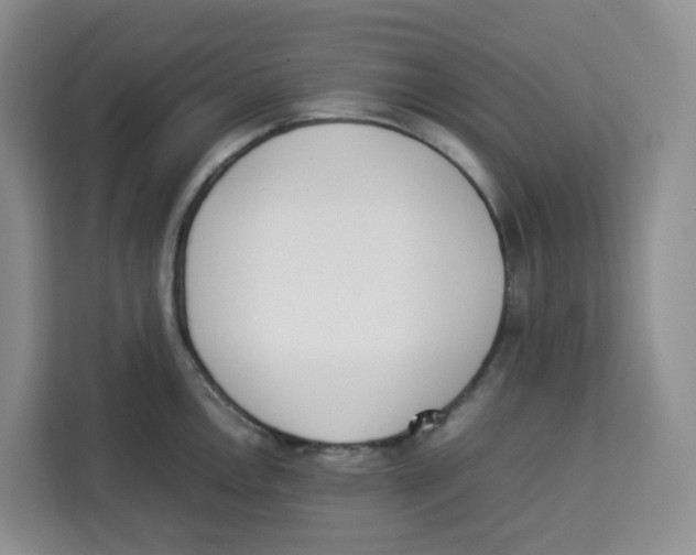 X0000113911146200910221328