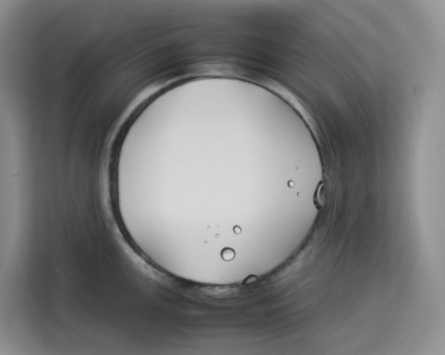 X0000113911147200910221328