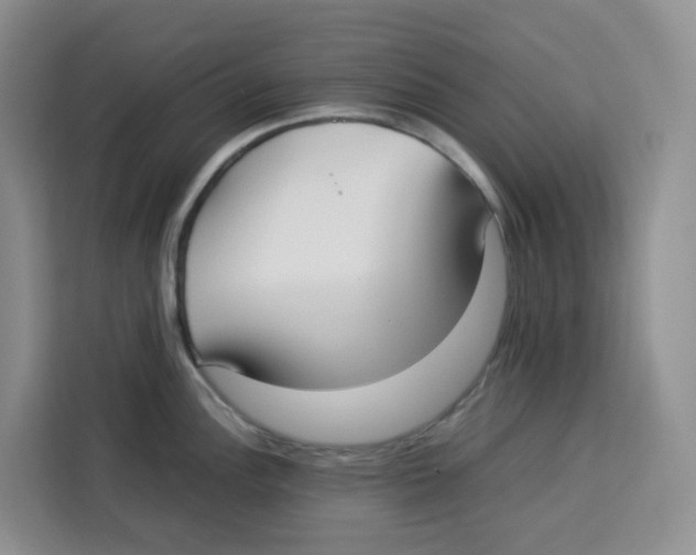 X0000113911148200910221328