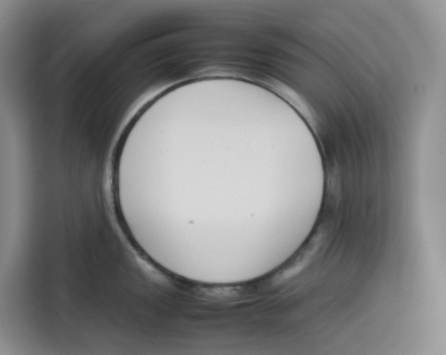 X0000113911149200910221328