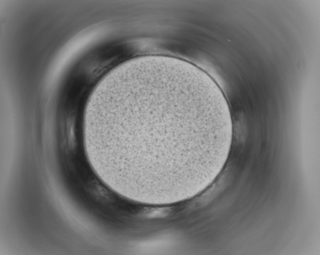 X0000113911150200910221328