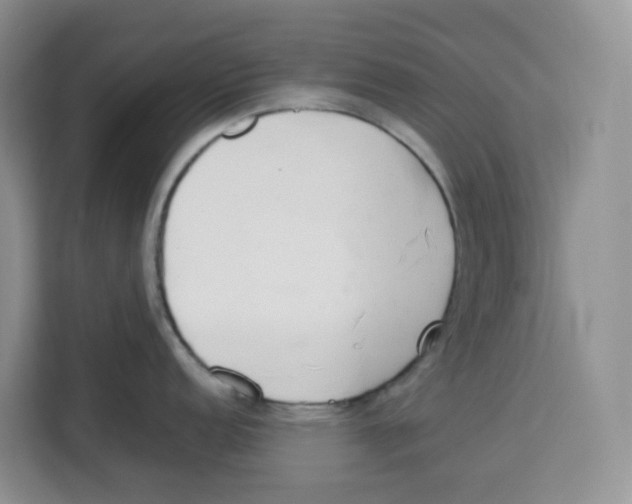 X0000113911152200910221328