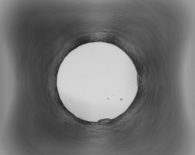 X0000113911153200910221328