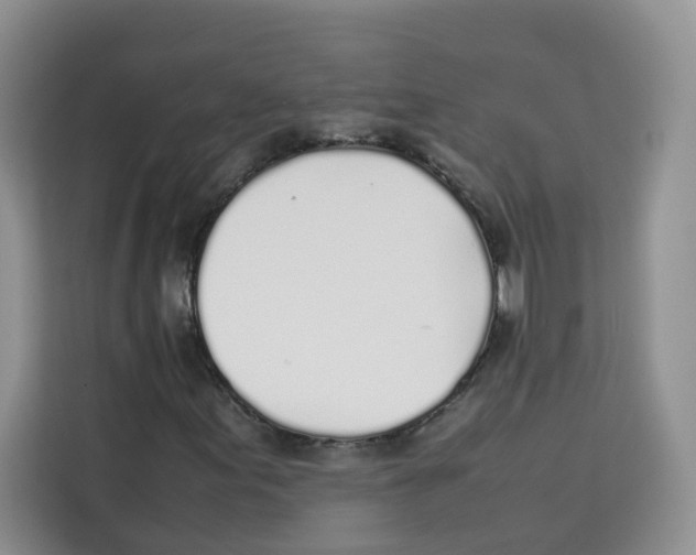 X0000113911155200910221328