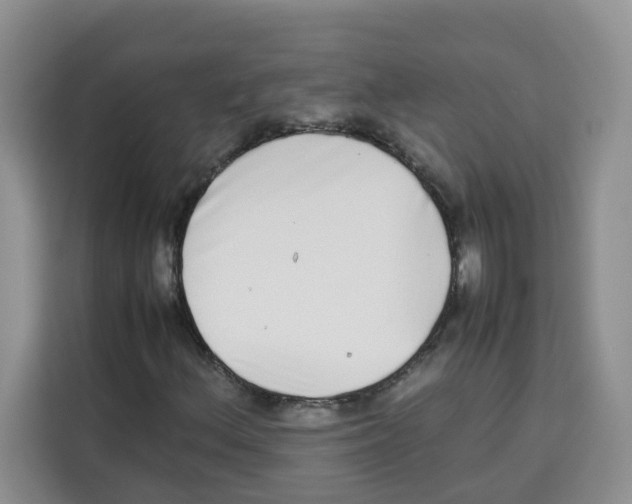 X0000113911156200910221328