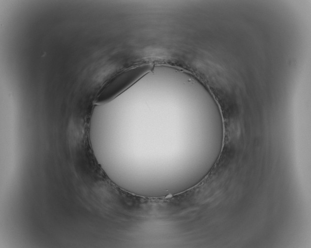 X0000113911157200910221328