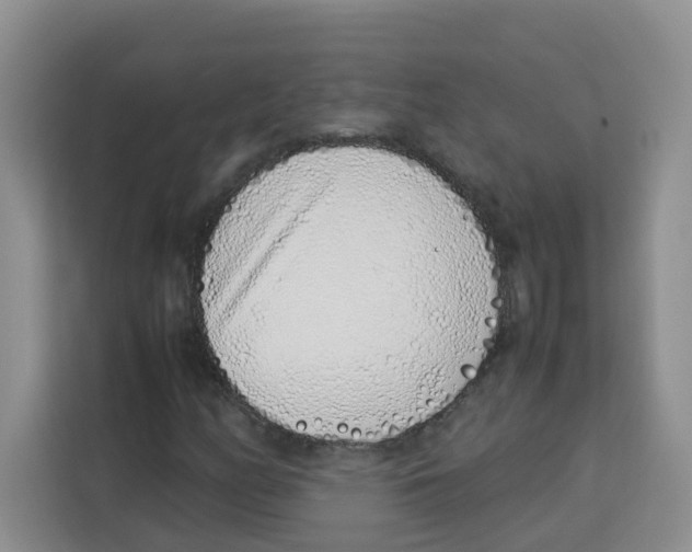 X0000113911158200910221328