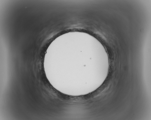 X0000113911159200910221328