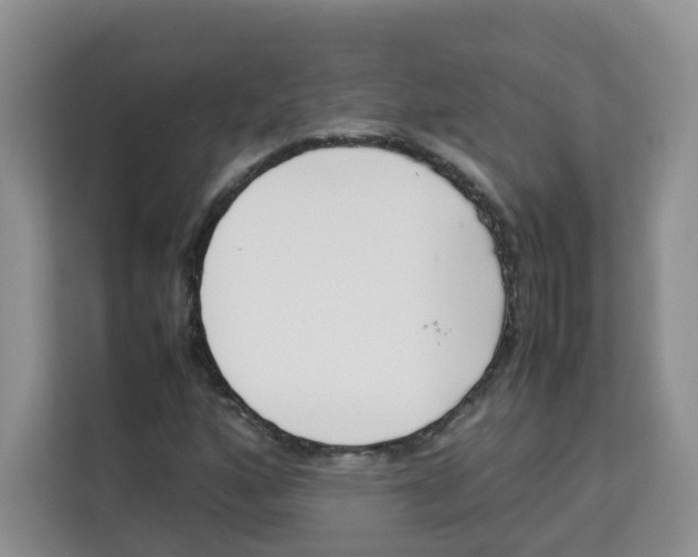 X0000113911160200910221328