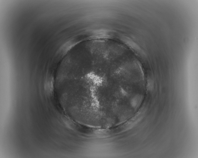 X0000113911161200910221328