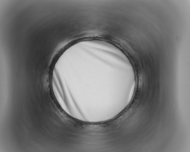 X0000113911164200910221327