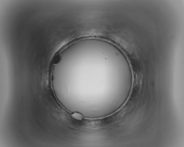 X0000113911165200910221327