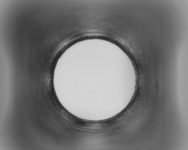 X0000113911167200910221327