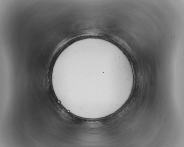 X0000113911168200910221327