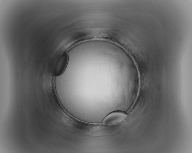 X0000113911169200910221327