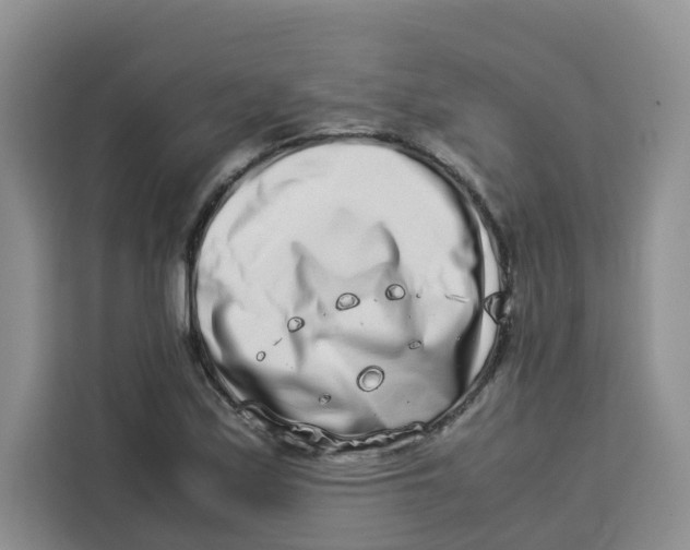 X0000113911171200910221327