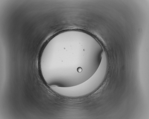 X0000113911173200910221327