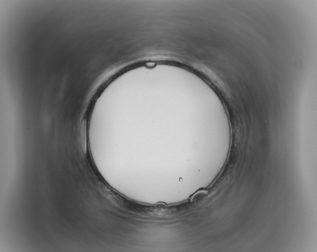 X0000113911175200910221327