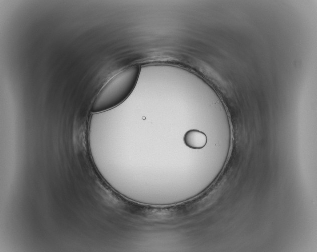 X0000113911177200910221327