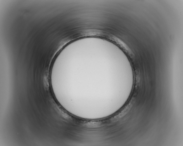 X0000113911178200910221327