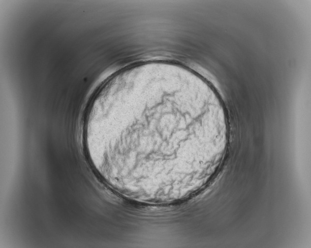 X0000113911179200910221327