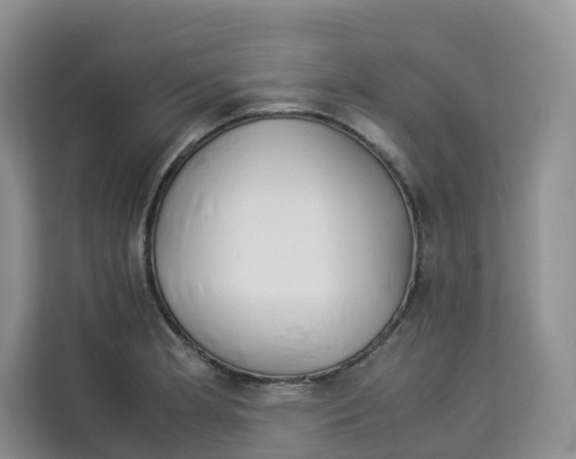 X0000113911181200910221327