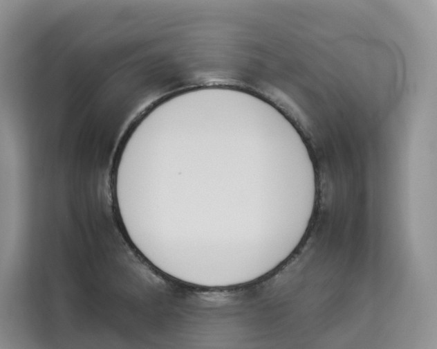 X0000113911182200910221327