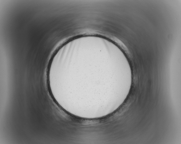 X0000113911183200910221327