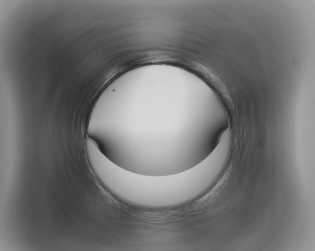 X0000113911185200910221327