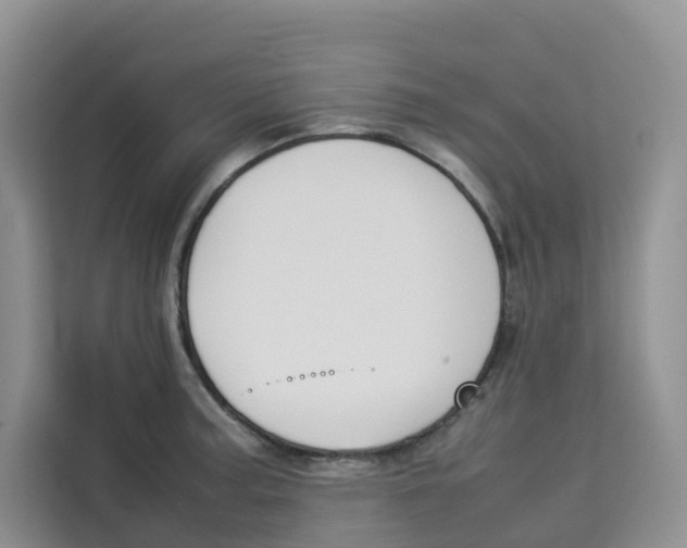 X0000113911187200910221327