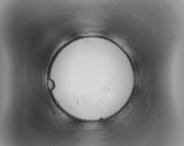 X0000113911189200910221327