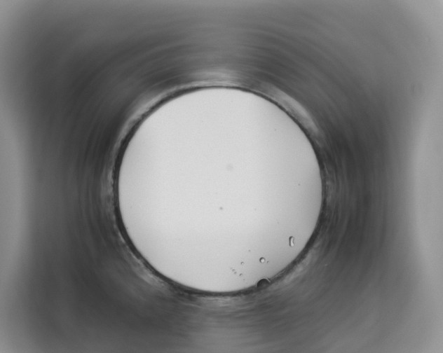 X0000113911192200910221327