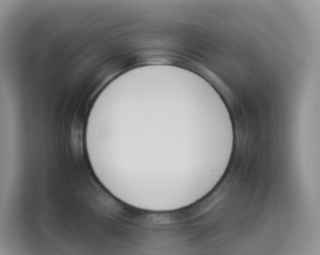 X0000113911194200910221327