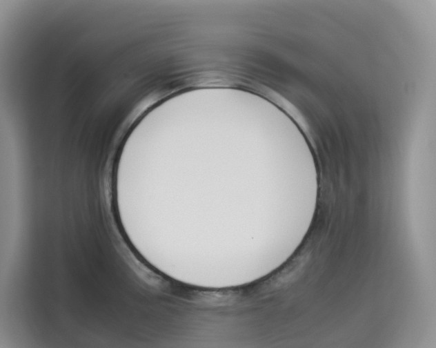 X0000113911195200910221327