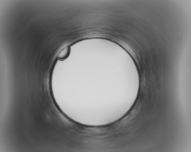 X0000113911197200910221327