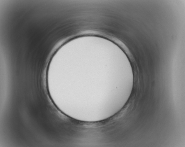 X0000113911199200910221327