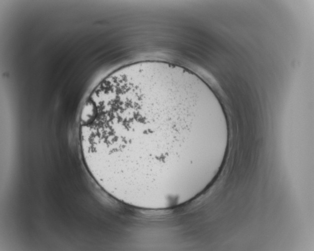 X0000113911200200910221327