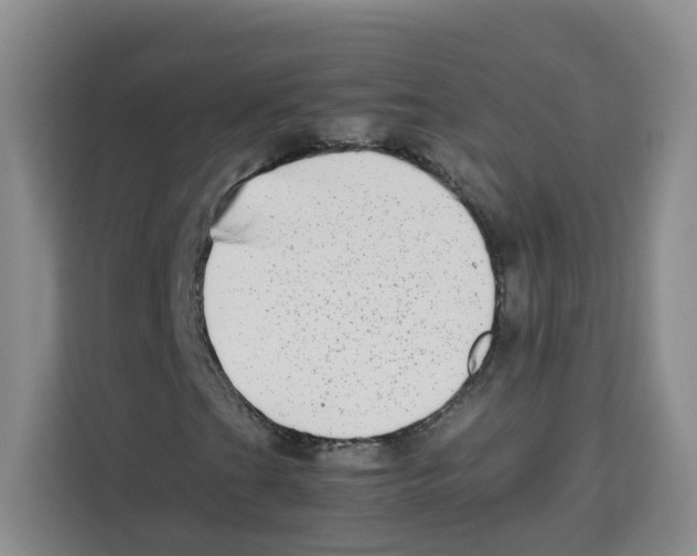 X0000113911201200910221326