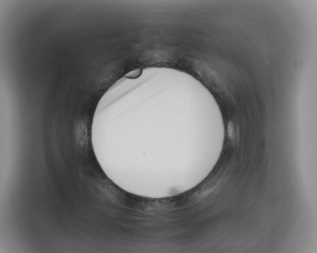 X0000113911203200910221326