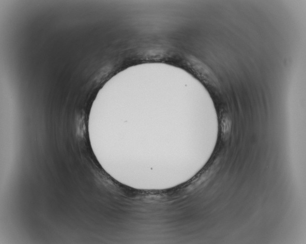 X0000113911204200910221326