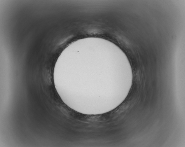 X0000113911205200910221326