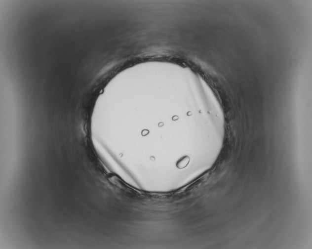 X0000113911206200910221326