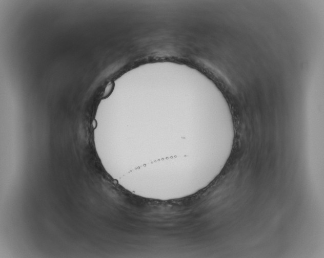 X0000113911207200910221326